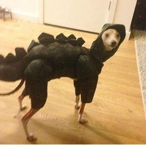 Meet your Posher, Ines